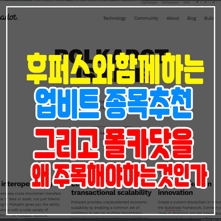  업비트의 11월달까지 주목해야하는 코인  & 그리고 왜 폴카닷인가?