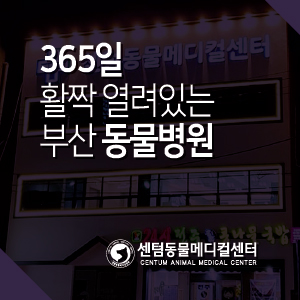  365일 활짝 열려있는 부산 동물병원, 센텀동물메디컬센터