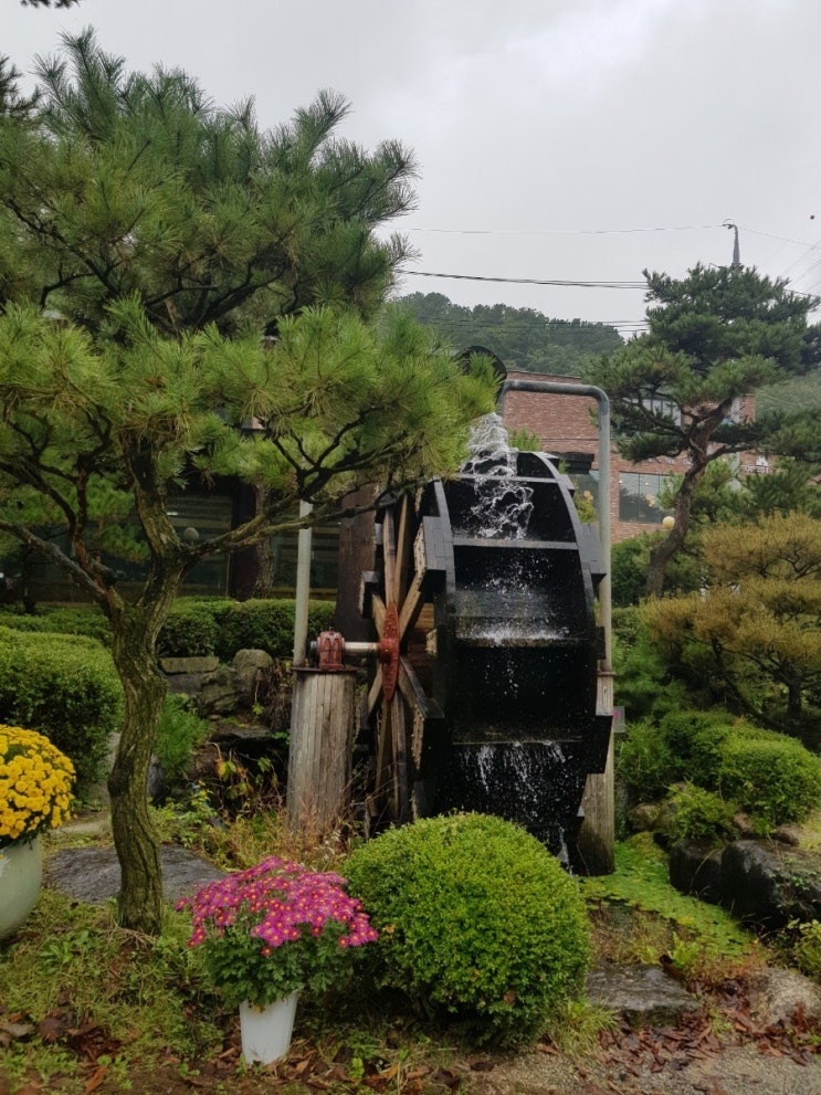 용인 기흥 맛집 누룽지 백숙 삼계탕 물레방아