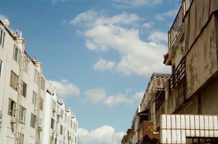  [필름카메라] 3번째 롤_Kodak color plus
