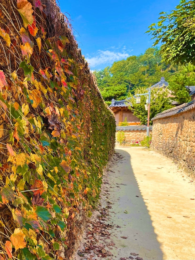  가자~ 산청으로~