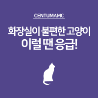 화장실이 불편한 고양이, 이럴 땐 응급!
