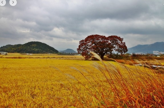  농지전용 부담금