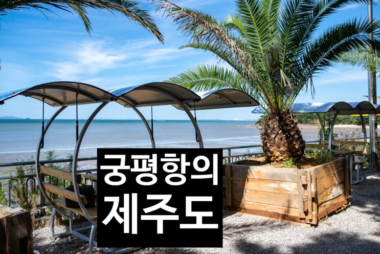  제주가 궁평항에 놀러 온 까닭은? 야자수마을 카페