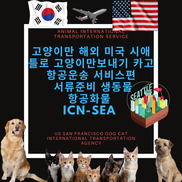 반려묘고양이 시애틀SEA로 카고화물운송 고양이검역 고양이출국 고양이미국입국운송