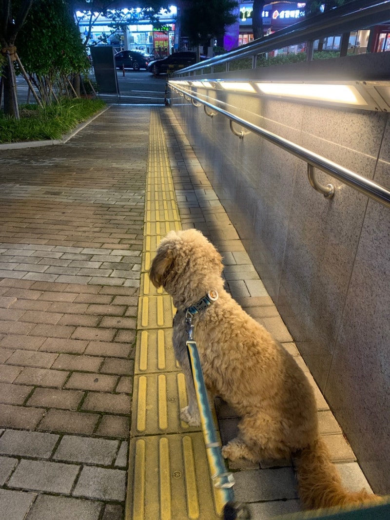 사진 6