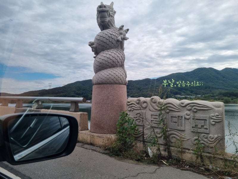사진 11