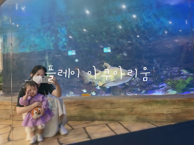  14개월 아기랑 아쿠아리움 | 플레이아쿠아리움 부천 (유모차는 신중히)