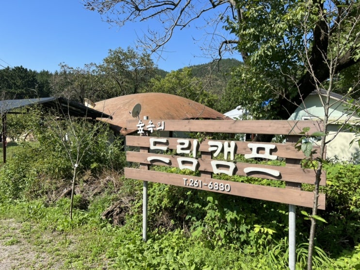  [포항]숲속의 드림캠프 상세후기