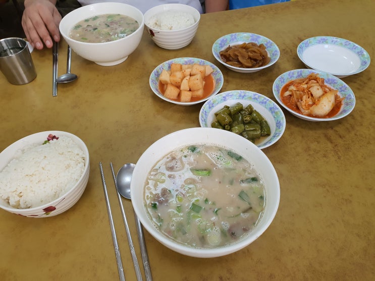  [제주 공항근처맛집/제주 최자로드맛집] 제주 곰탕맛집 1등 '재벌식당'