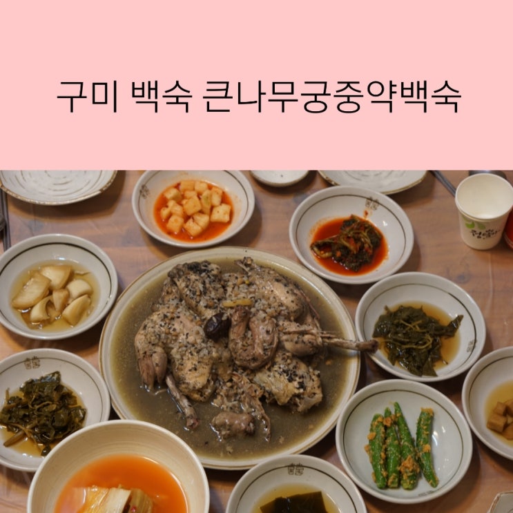  구미 백숙 금오산 큰나무집궁중약백숙 보양식 은 백숙 이지 ~