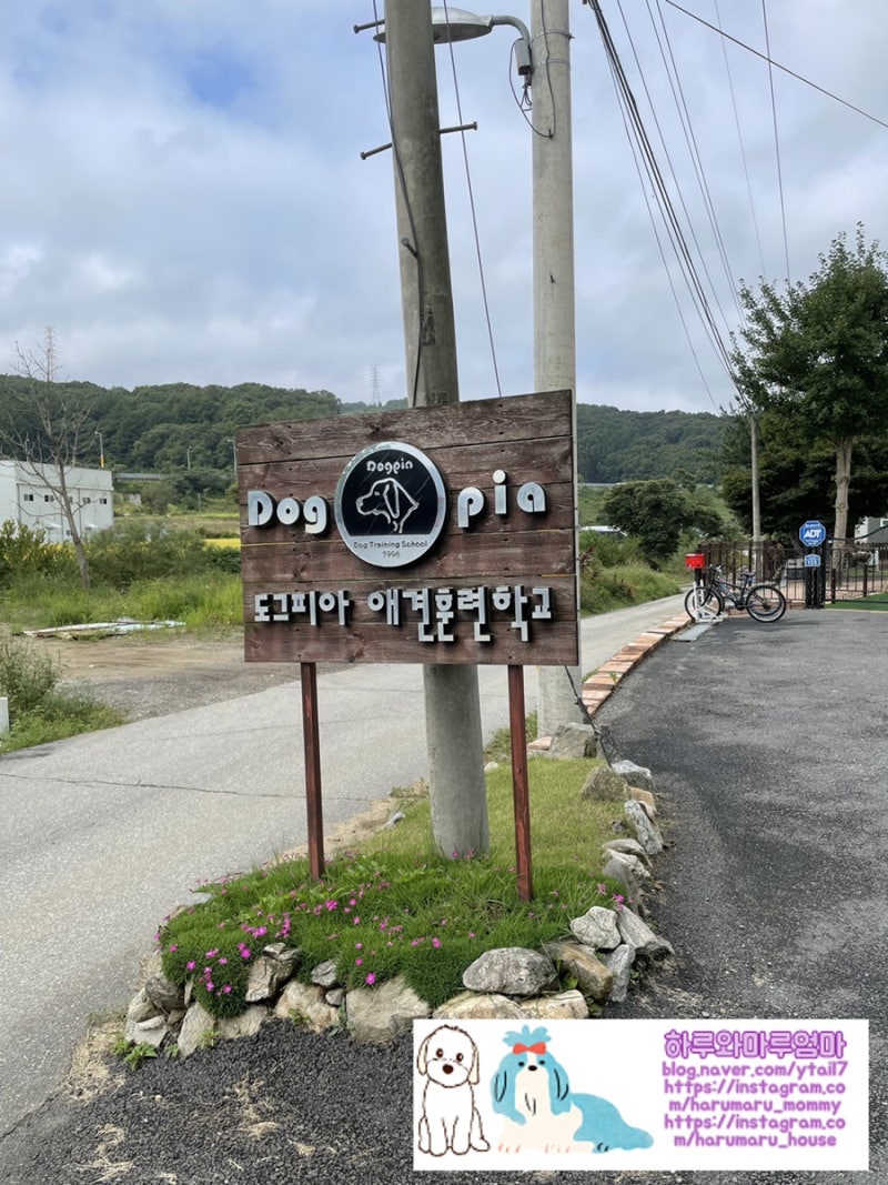 사진 3