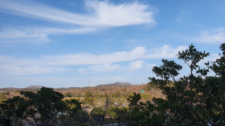  매일 한 줄 일기쓰기 - 10.11