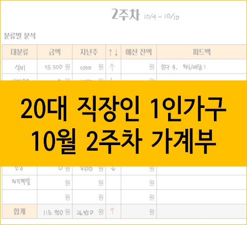  20대 직장인 1인가구 가계부, 10월 2주차 :: 미리미리 챙겨서 추가 구매하지 않기!