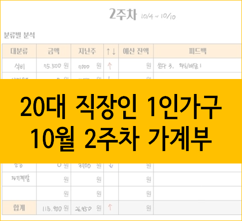 20대 직장인 1인가구 가계부, 10월 2주차 :: 미리미리 챙겨서 추가 구매하지 않기!