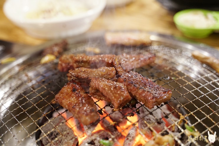  애정하는 강원도 고성 맛집 리스트