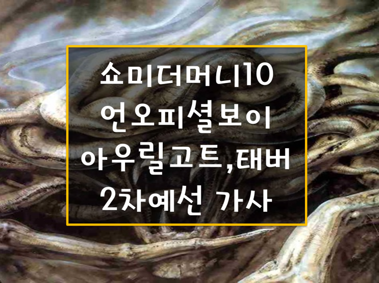 쇼미10 5번째 참가한 언오피셜보이 태버 아우릴고트 2차 예선 가사와 주목해야할 래퍼들 가사와 분위기 미친 곡들