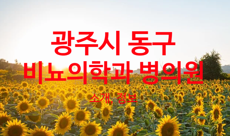 광주시 동구, 비뇨의학과 병의원 소개 정보 [한국요양신문=강창모기자]