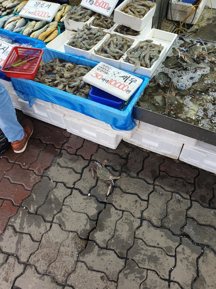  생기와 색감이 넘쳤던 가을의 "오산오색시장"