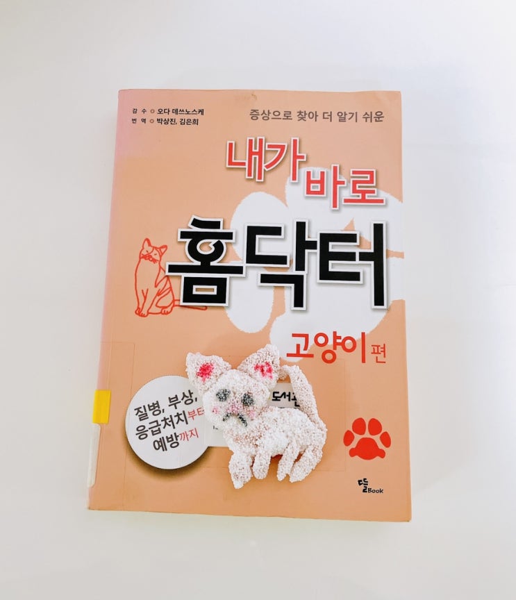  내가 바로 홈닥터 고양이편 / 고양이에 대한 기초 지식, 질병 예방법