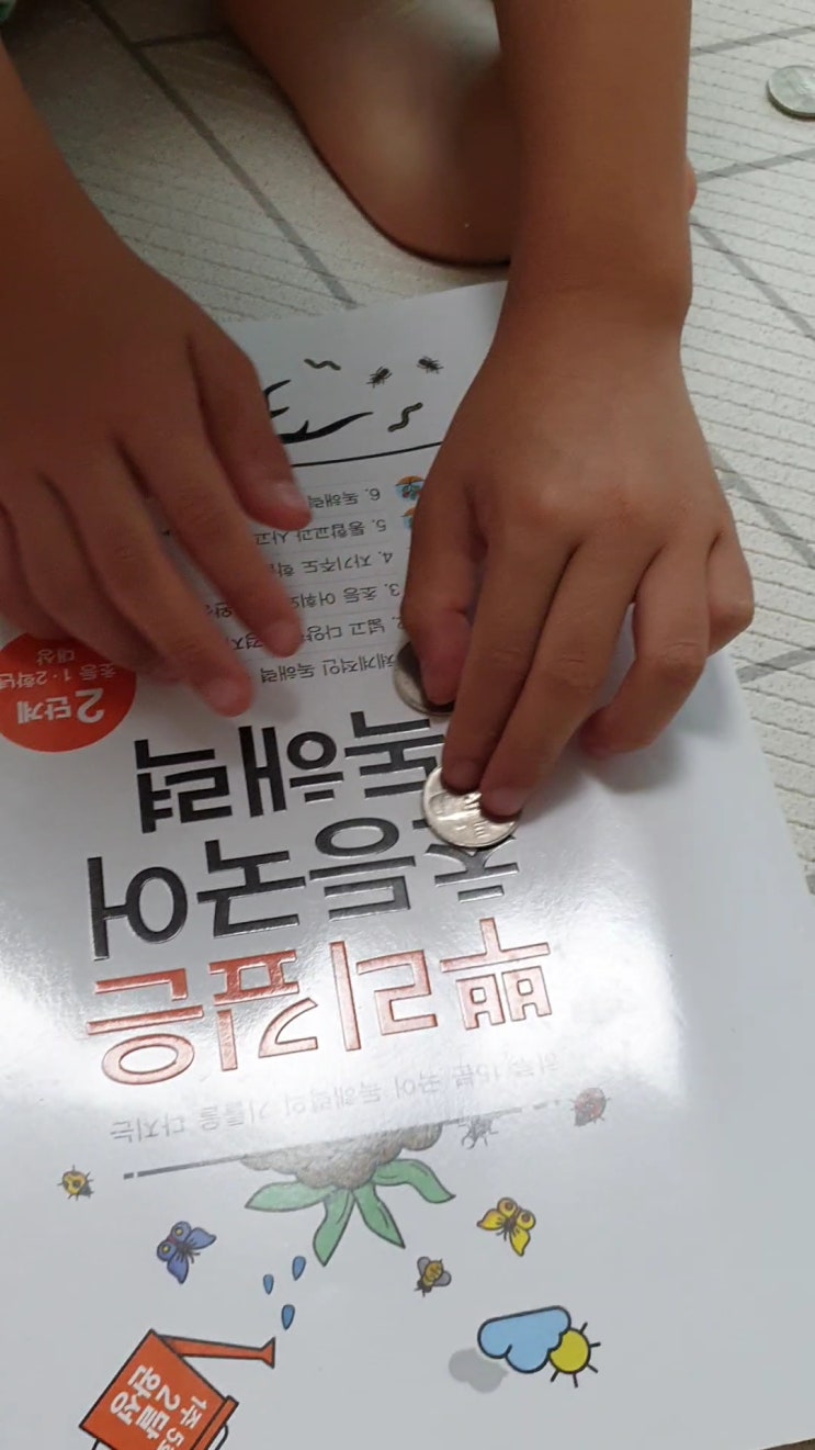  동전치기 판치기 아들과 함께 해보았답니다