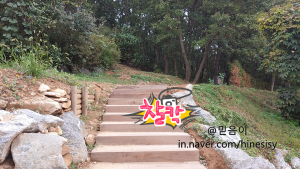 주말일상. 무봉산 등산 과 홍천냉면 방문기