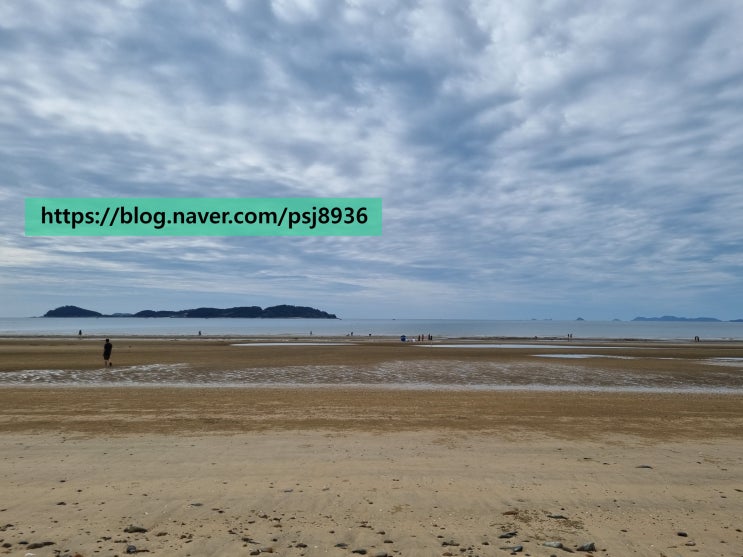  태안 마검포해수욕장+마검포 바다횟집 후기
