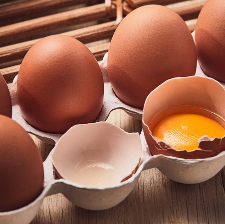서민갑부 계란, 달걀, 양계장 - 한솔양계 맘란