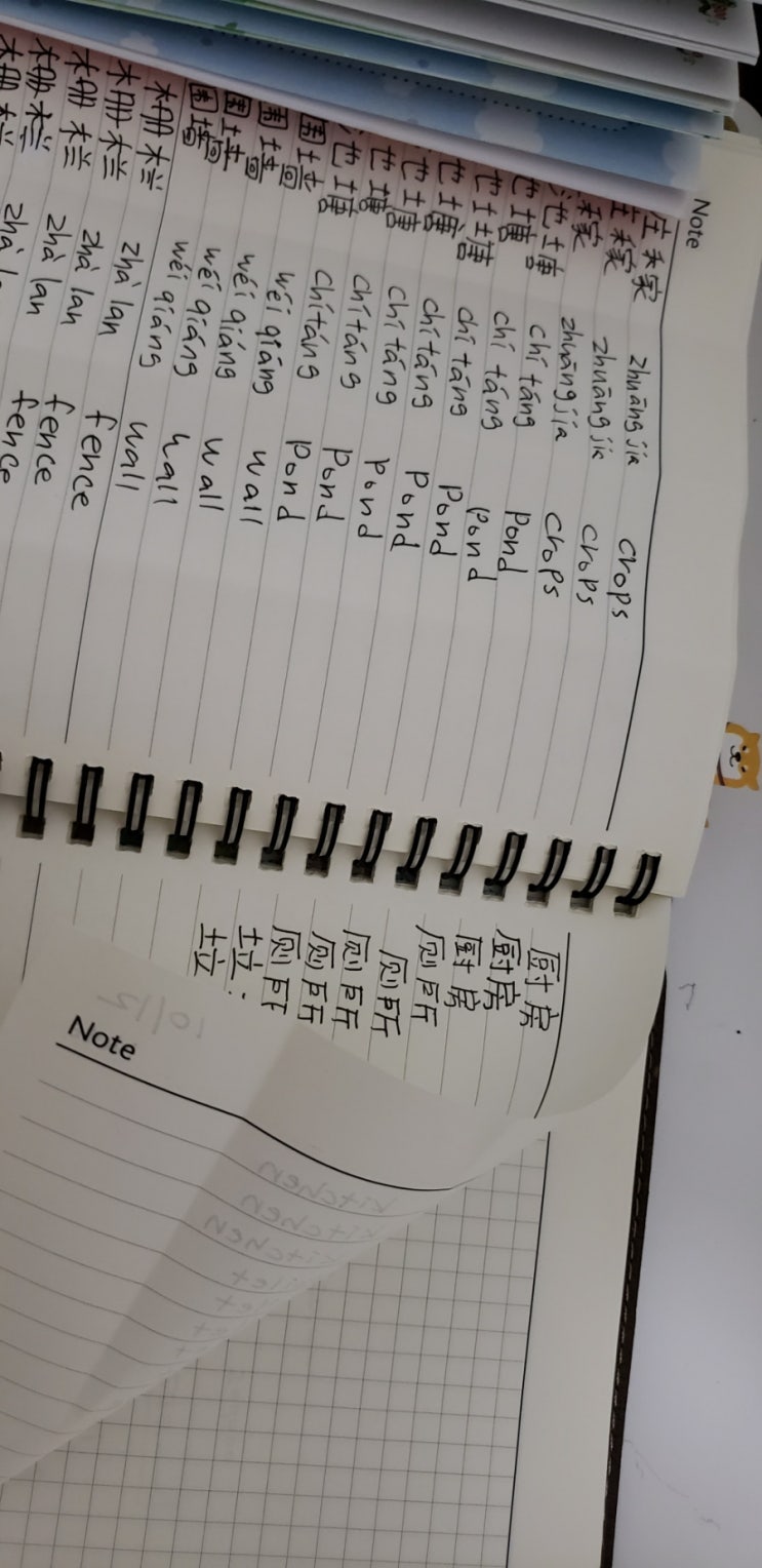  중국어 공부습관
