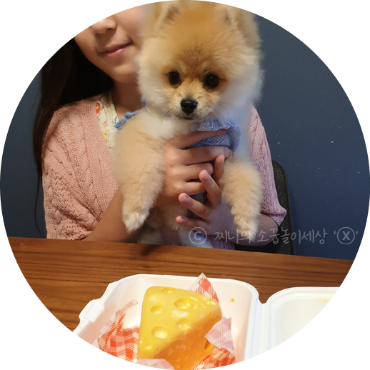 사진 3