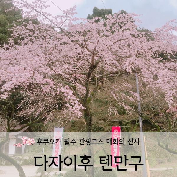  [후쿠오카] 다자이후 텐만구(太宰府天滿宮)