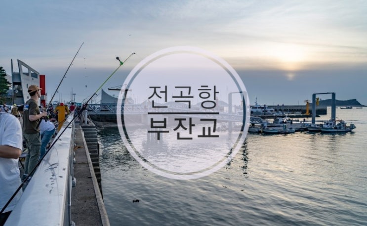  전곡항 부잔교  바다의 시작