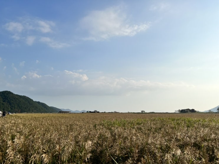  순천 여행 소회 : 귀촌 꿈나무가 되어 