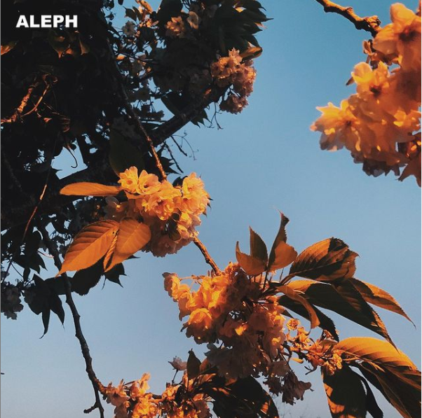  네가 사랑한 것들을 기억할게 - 알레프 (ALEPH)