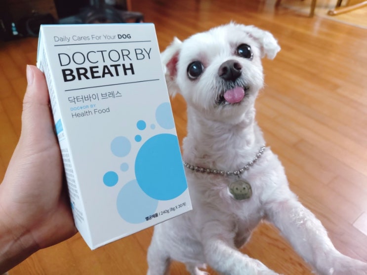 [닥터바이 브레스] 강아지 기침과 켁켁거림에 좋은 강아지호흡기영양제