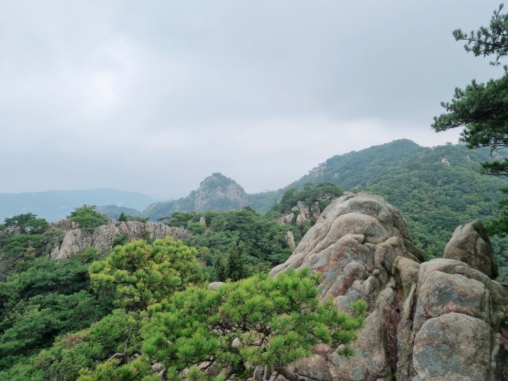  20회 주말등산 관악산 (우중산행)