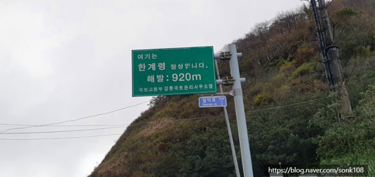  국내 가을 여행지추천으로 당일치기 꿈같은 여행 다녀왔어요