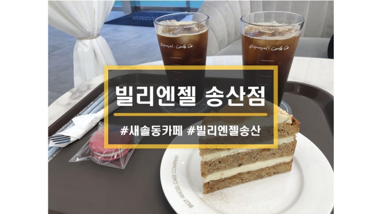  화성 새솔동 카페 맛집ㅣ빌리엔젤 송산점 애견동반 입장존 별도공간도 있어용>.<