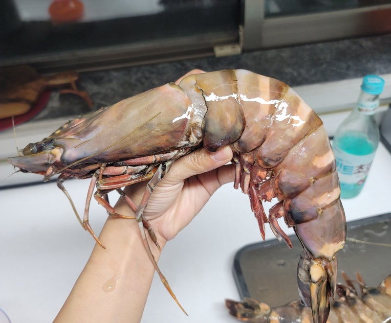 킹블랙타이거새우 요리 BEST 2가지 해봤어요! (버터구이,새우장)
