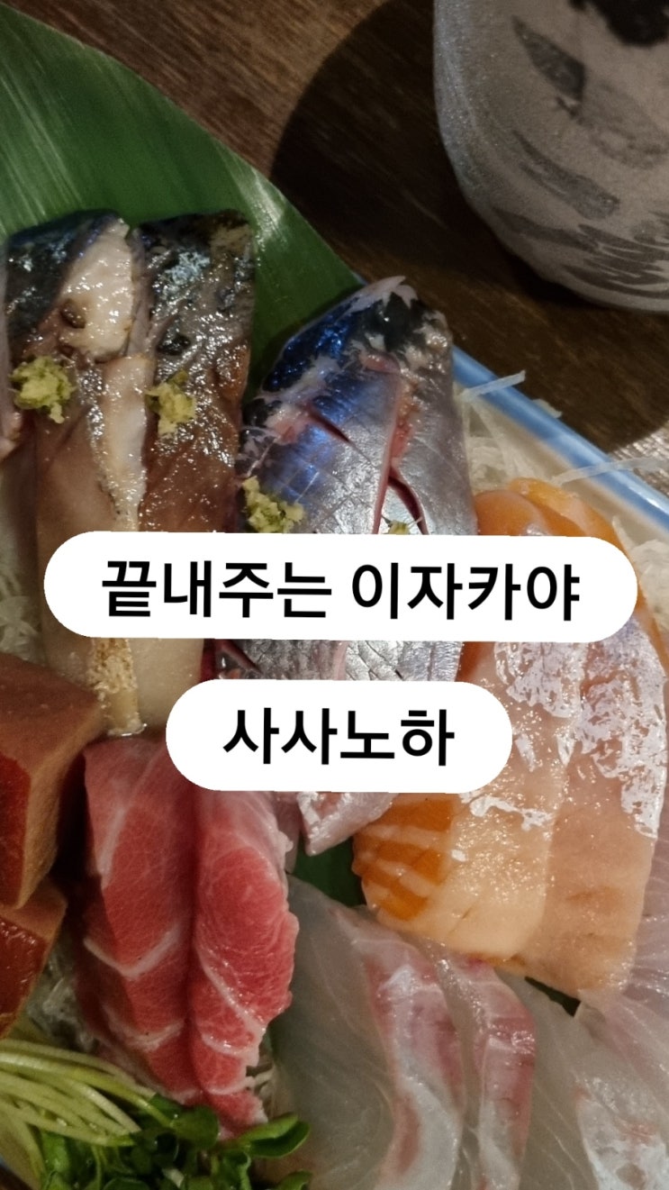  석촌역 맛집 굴지의 이자카야 사사노하 리뷰 드가자~