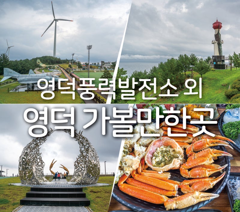 영덕여행대진해수욕장겨울바다