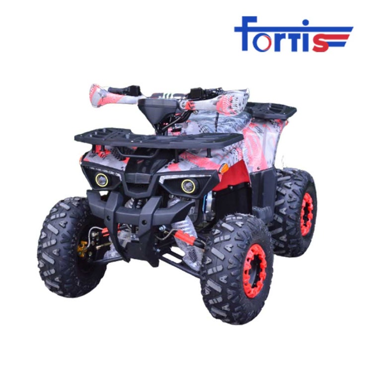 많이 팔린 포르티스 오토매틱 ATV 125cc 4륜 오토바이 사륜 바이크 사발이, 그린그레이 추천합니다 많이 팔린 포르티스 오토매틱 ATV 125cc 4륜 오토바이 사륜 바이크 사발이, 그린그레이 추천합니다