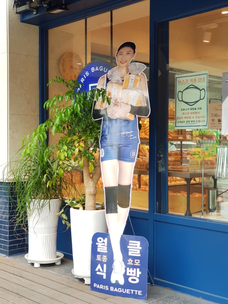 출근길에 발견한 식빵언니 출근길에 발견한 식빵언니