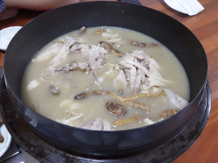  제주 구좌 맛집 홍대감더덕토종닭 숨어 있는 백숙맛집 추천
