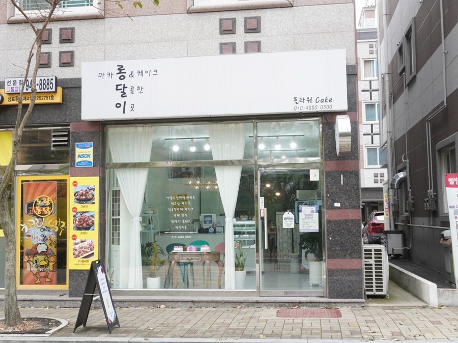 롱달이 사진 1