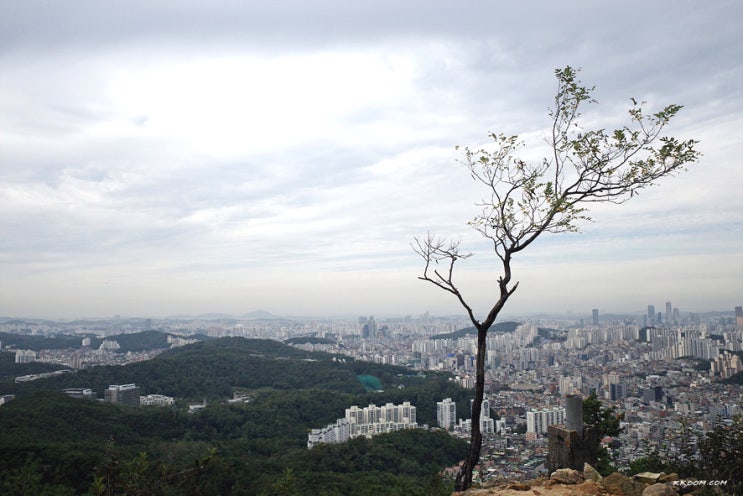 관악산 등산 (사당역~관악능선~연주대 정상~서울대입구 코스)