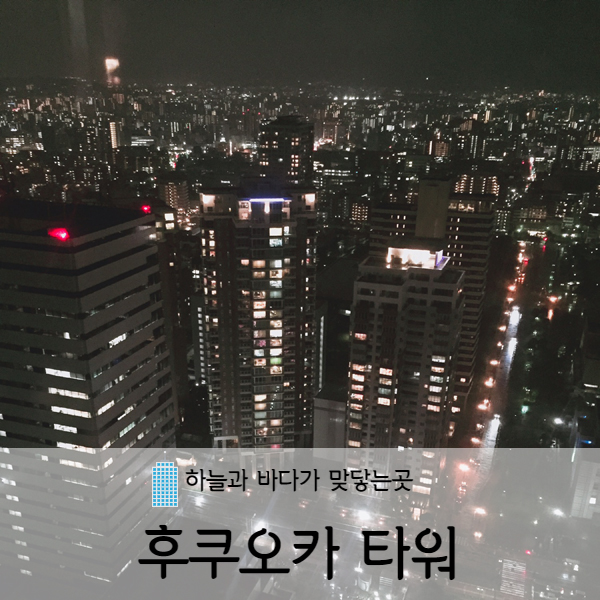  [후쿠오카] 후쿠오카 랜드마크 후쿠오카 타워 야경