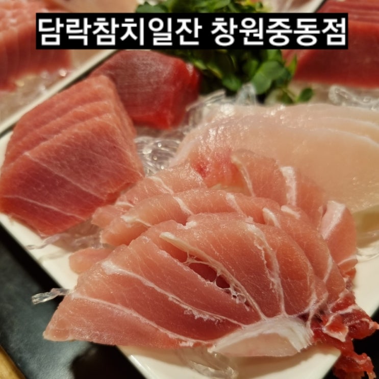  창원 중동 담락참치일잔 가성비 좋은 참치 ! 창원 맛집