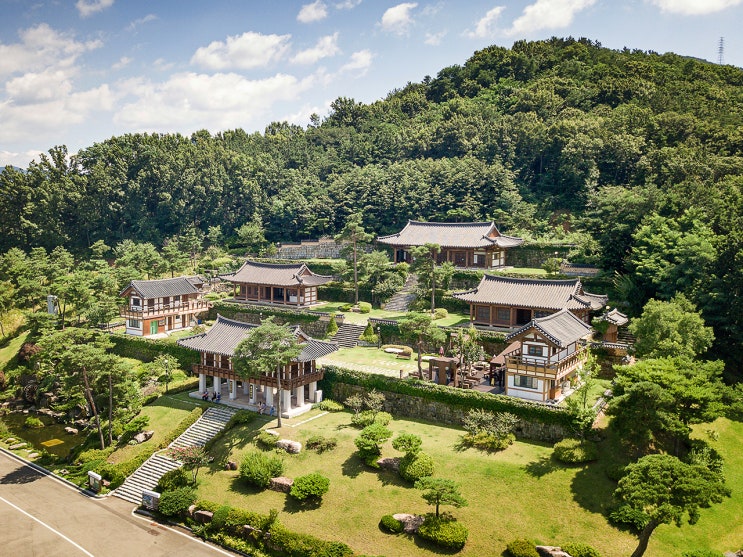  2021학년도 대구한의대 / 동국대 한의대 수시 입결
