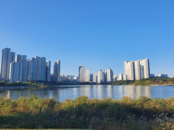 신혼집은 이렇게 고르세요! 신혼부부 실거주 아파트 고르는 방법 신혼집은 이렇게 고르세요! 신혼부부 실거주 아파트 고르는 방법
